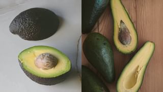 6 ways to enjoy Shepard avocado season | Cancer Council SA