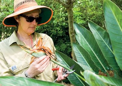 Workplace UV Radiation
