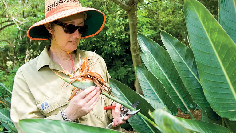 Workplace UV Radiation