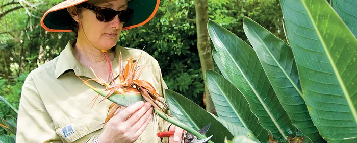 Workplace UV Radiation