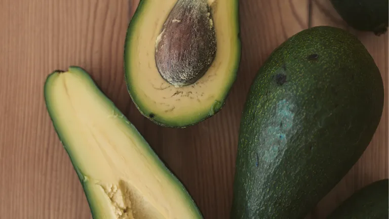 avocado