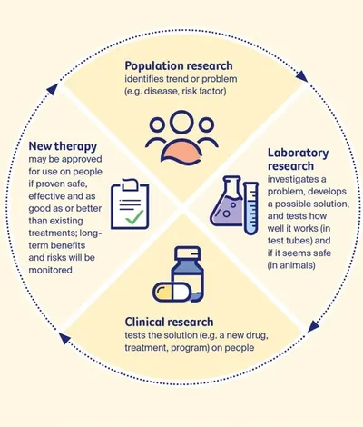 Circular infographic showing four research stages population, laboratory, clinical, and new therapy.
