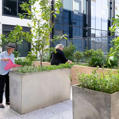 Two seniors tending a courtyard garden with concrete planters beside a glass office building.