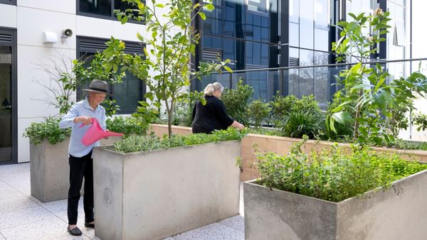Two seniors tending a courtyard garden with concrete planters beside a glass office building.