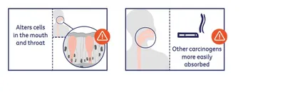 Two-panel diagram: mouth/throat cell changes; absorbed carcinogens from smoking on the right, with warning icons.