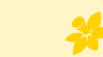 Fall back image 1920x1080px 72dpi