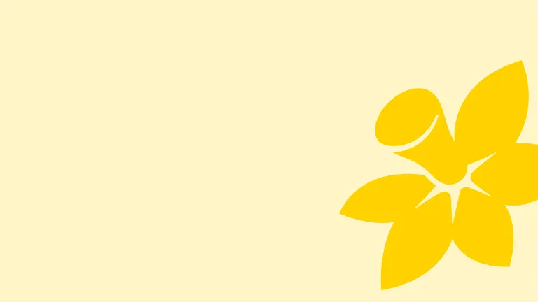 Fall back image 1920x1080px 72dpi