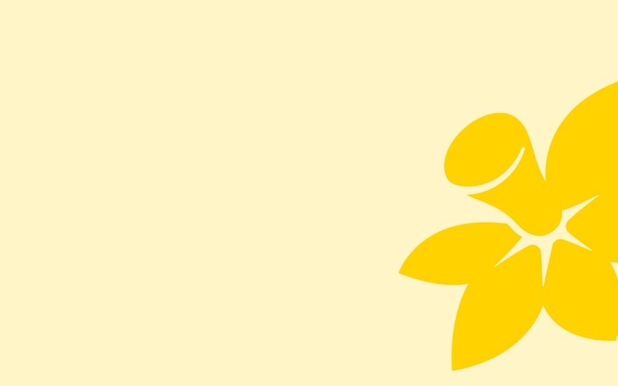 Fall back image 1920x1080px 72dpi