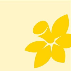 Cream background with a large yellow five-petalled flower in the bottom-right corner.