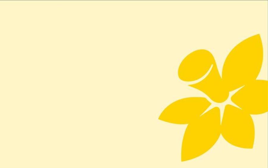 Cream background with a large yellow five-petalled flower in the bottom-right corner.