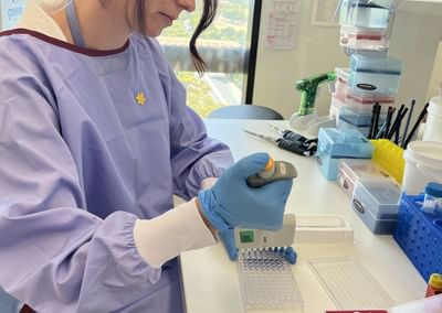 Lab researcher in a purple gown and blue gloves pipetting into a 96-well plate.