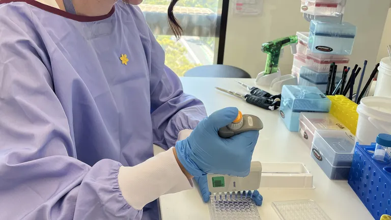 Lab researcher in a purple gown and blue gloves pipetting into a 96-well plate.