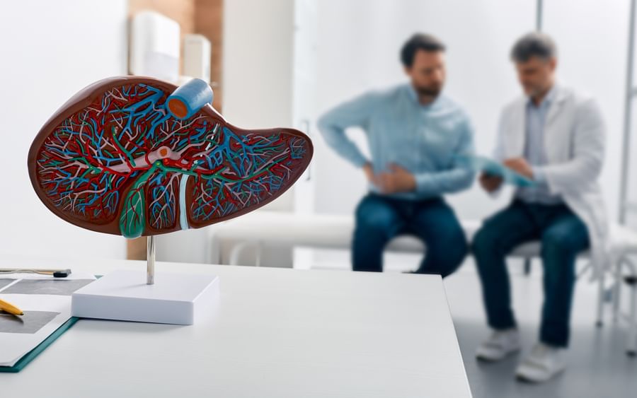 Detailed kidney model with red and blue vessels on a stand; two clinicians discuss in background.