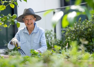 Smiling person tending plants in a garden, wearing a hat, gloves, light blue shirt, using a rake.