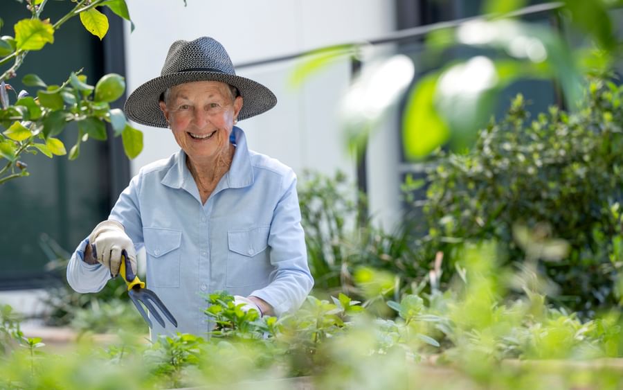 Smiling person tending plants in a garden, wearing a hat, gloves, light blue shirt, using a rake.