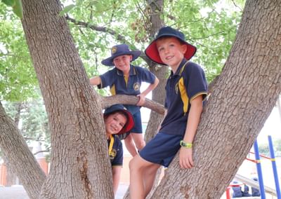Three children in navy and yellow school uniforms sit in a tree, smiling.