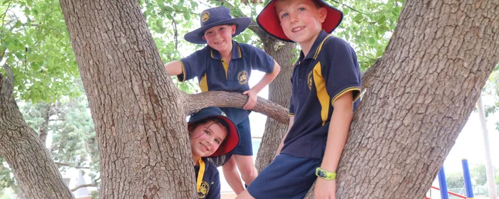 Three children in navy and yellow school uniforms sit in a tree, smiling.