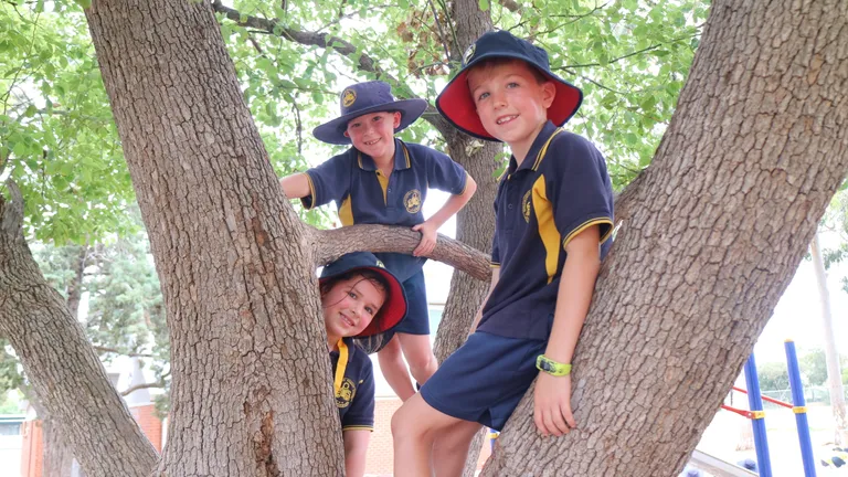 Three children in navy and yellow school uniforms sit in a tree, smiling.