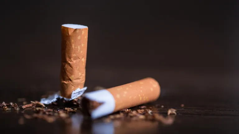 Two broken cigarettes on a dark wooden surface with scattered tobacco flakes.