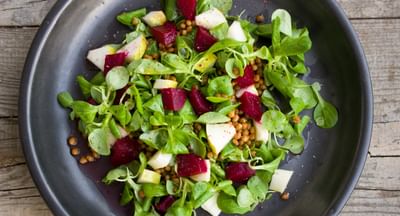 Dark plate with a green salad of beets, apple chunks and lentils on a wooden table.