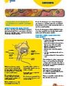 Educational poster about head and neck cancers with a labeled anatomy diagram.