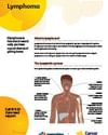 CCSA website pdf thumbnails FN Lymphoma fsht 002