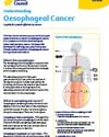 CCSA website pdf thumbnails Oesophageal Cancer 002