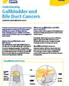CCSA website pdf thumbnails Understanding Gallbladder 002