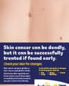 CCSA website pdf thumbnails check your skin