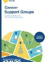 Cancer Support Groups poster with blue heading, sunflower logo, colorful geometric panels, contact 13 11 20.