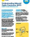 Educational infographic about adenoid cystic carcinomas (ACC) with a labeled head diagram.