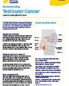 Educational poster titled Testicular Cancer with a diagram of the male anatomy and text blocks.