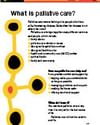 Infographic titled What is palliative care? with a yellow/black vertical network on the left and bullet points on the right.