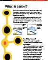 Infographic: What is cancer? vertical yellow cell-chain diagram with two inset panels.